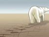 polar-bear2