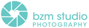 BZM-Logo
